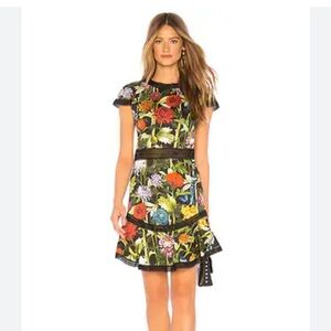 Alice + Olivia Rapunzel Fit and Flair Dress | Size 6